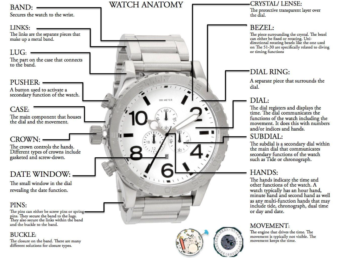 Watch Anatomy
